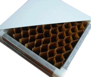 手工纸蜂窝妖精动漫网页版板